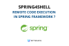 Spring4shell - RCE in Spring Framework?